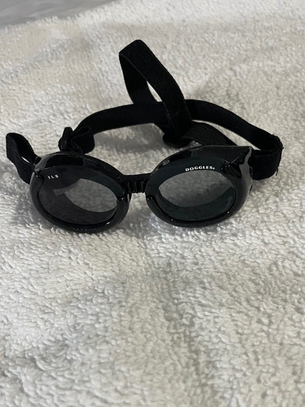 Doggles